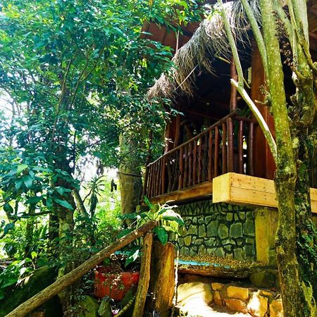 Jungle Face Inn Ella Eksteriør billede