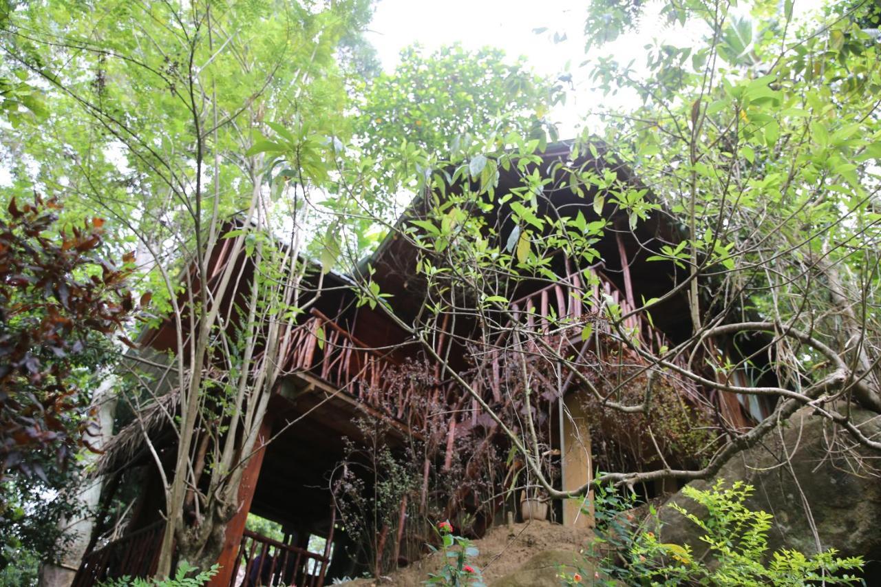 Jungle Face Inn Ella Eksteriør billede