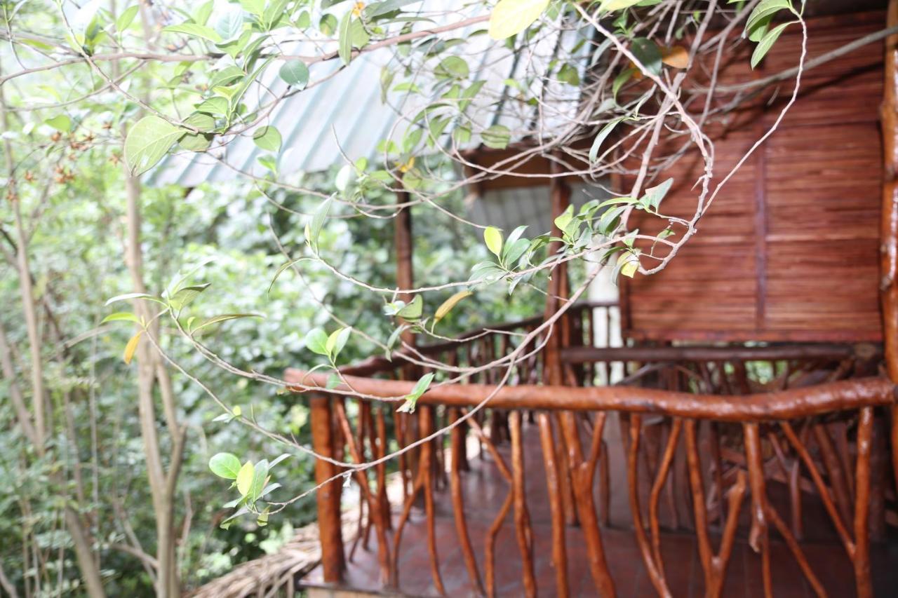 Jungle Face Inn Ella Eksteriør billede