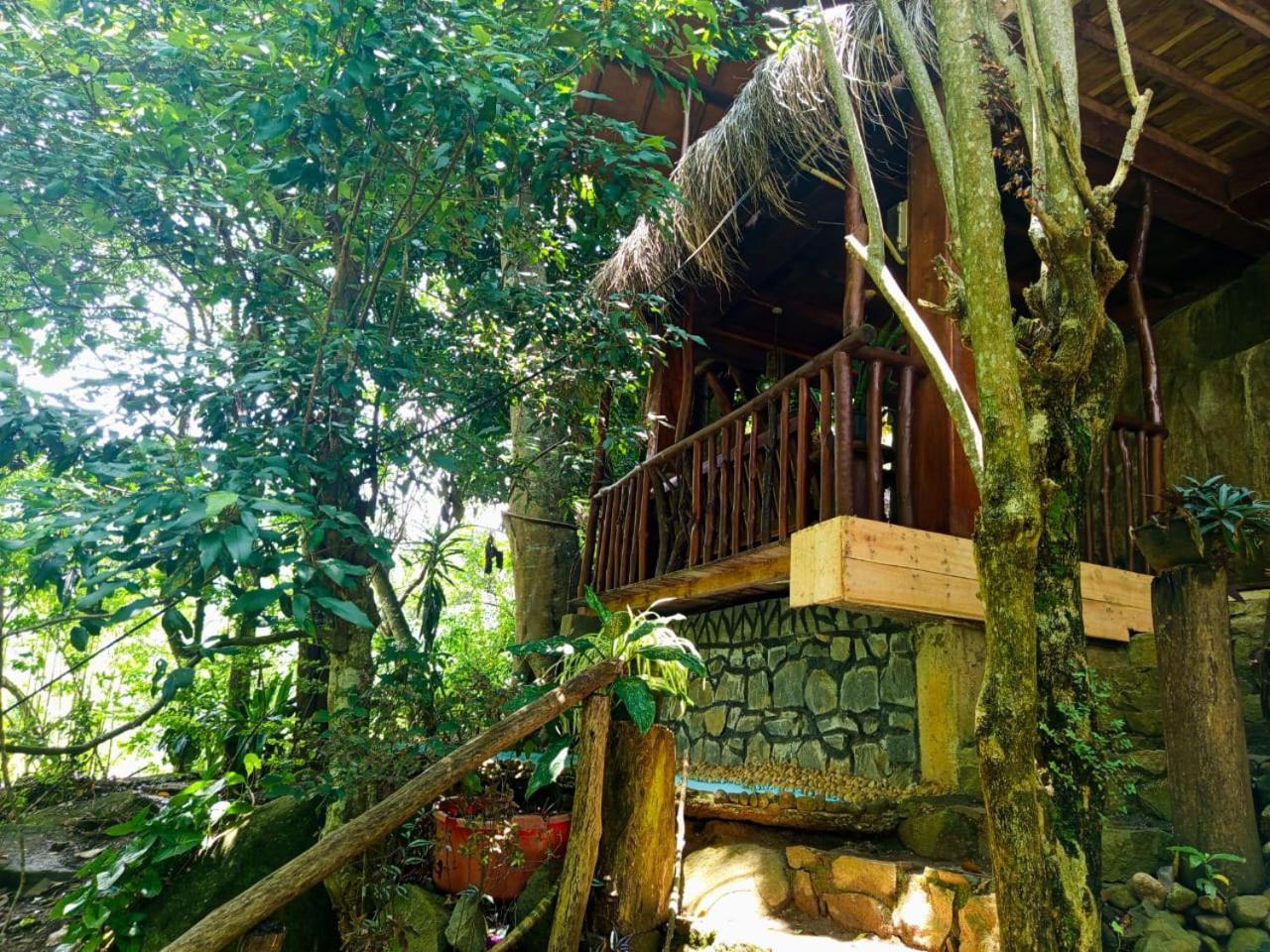 Jungle Face Inn Ella Eksteriør billede